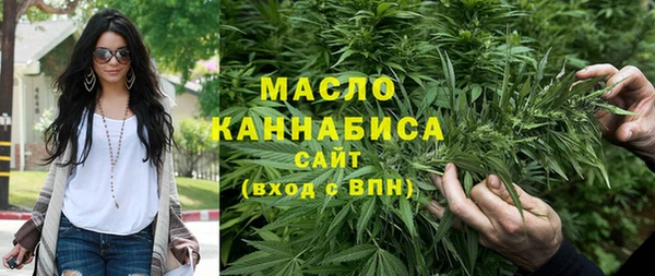 дмт Дмитриев