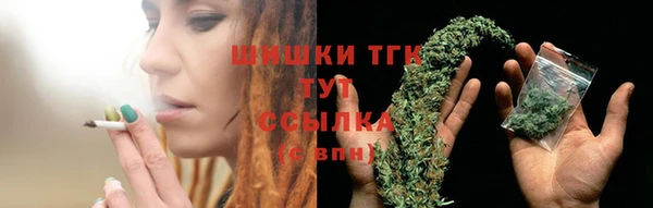 дмт Дмитриев